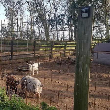 B&B Hoeve Dijkstal Logeren Op De Boerderij 荷属圣马丁 外观 照片